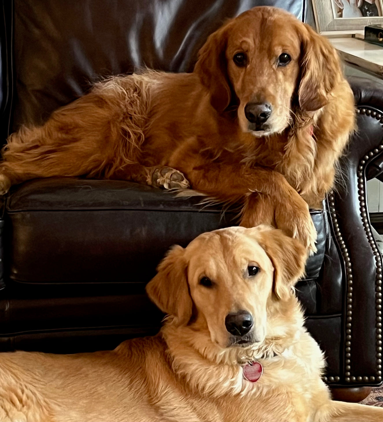 About Napping Dog Boutique