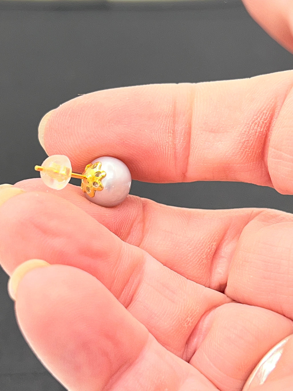 White Freshwater Pearl Stud Earrings in Gold Filled Over Sterling Silver