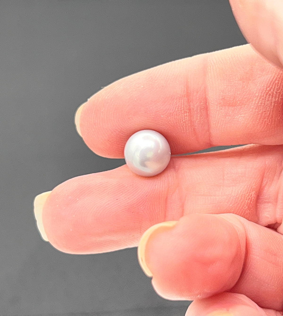 White Freshwater Pearl Stud Earrings in Gold Filled Over Sterling Silver