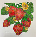 Strawberry Botanical Dot Painting – Original Watercolor (12x12)