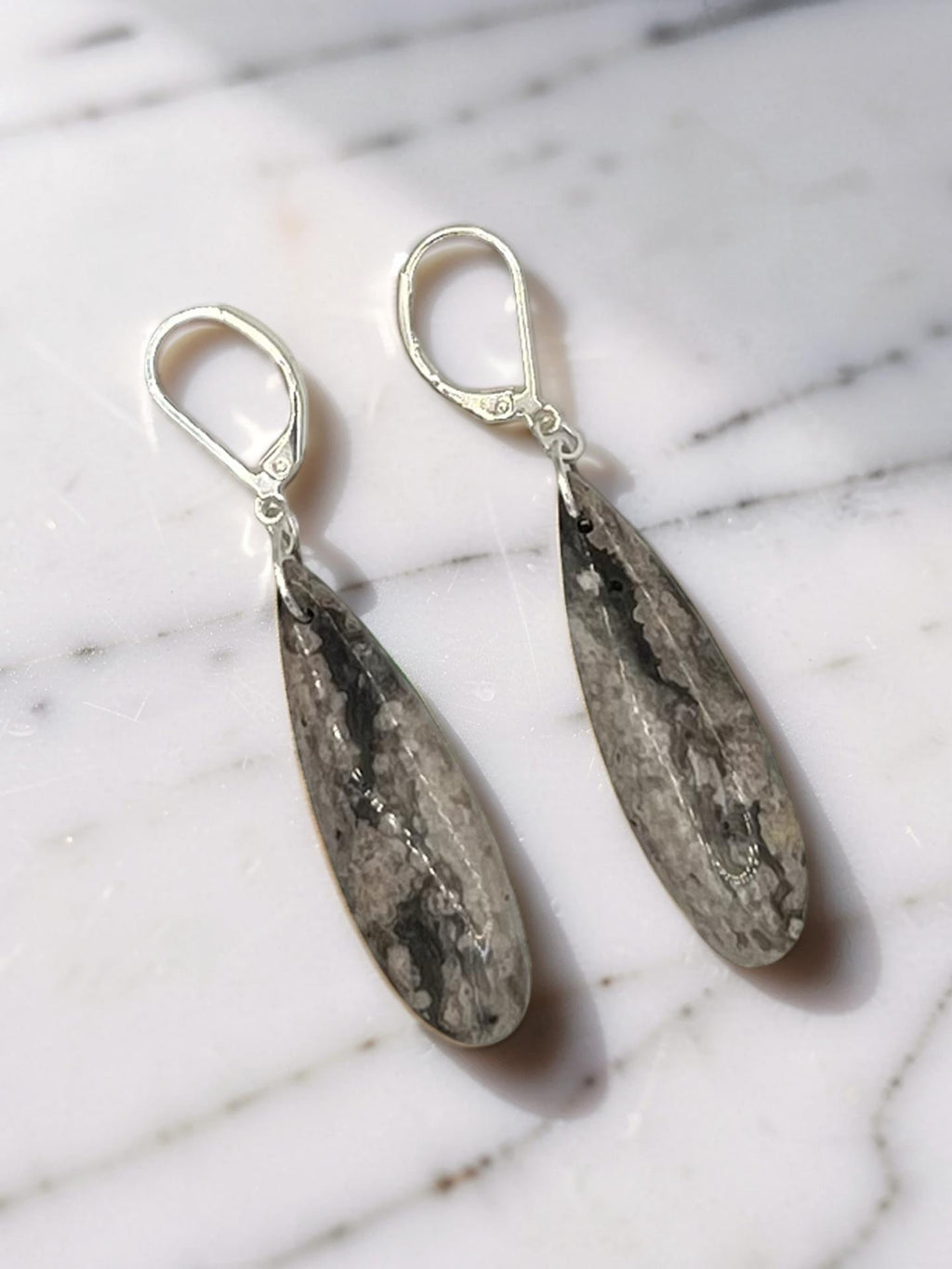 Ocean Jasper Sterling Silver Teardrop Earrings