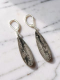 Ocean Jasper Sterling Silver Teardrop Earrings