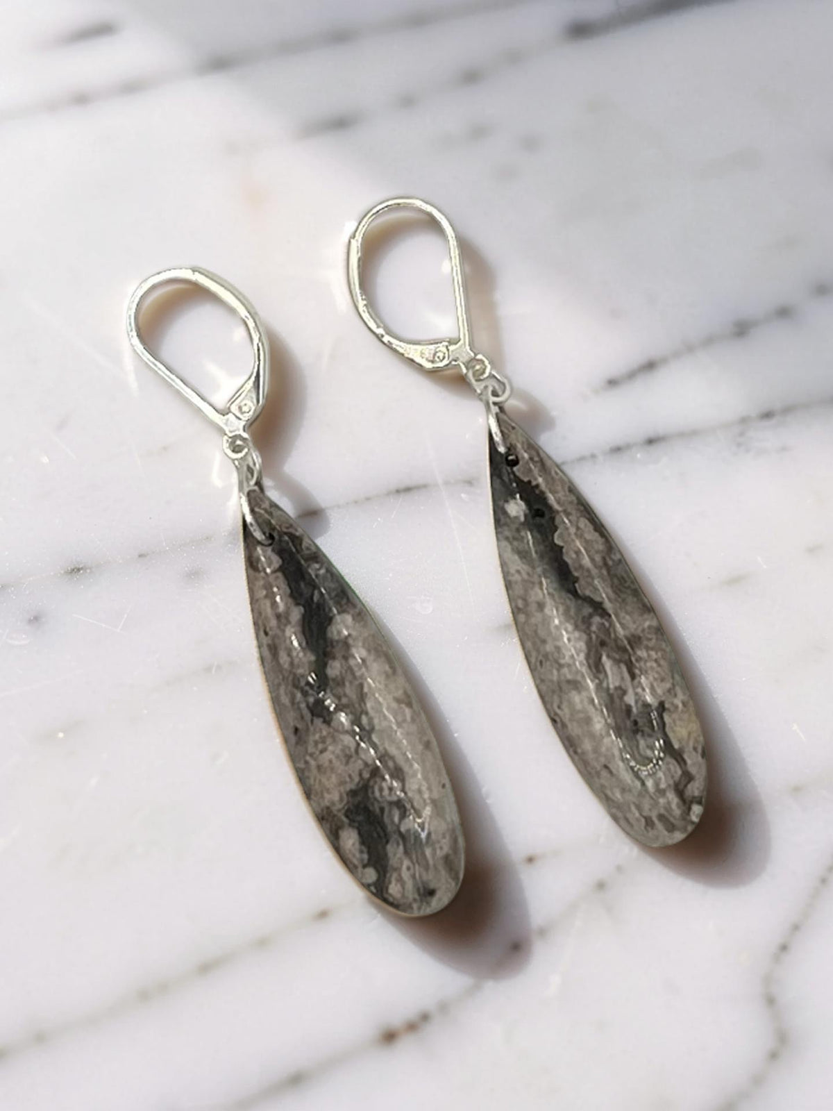 Ocean Jasper Sterling Silver Teardrop Earrings